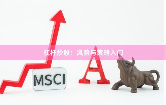 杠杆炒股：风险与策略入门
